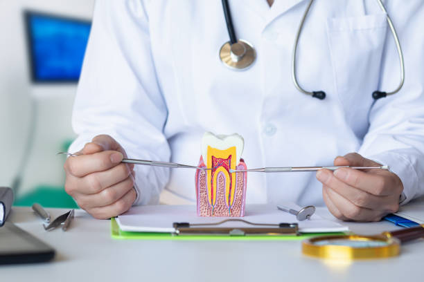 Best Same-Day Emergency Dentist in St Clair, MO